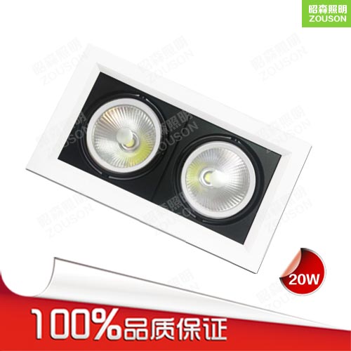 LED斗胆灯20W_两头斗胆灯